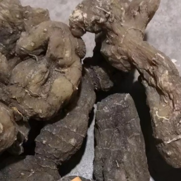 太行山优质九蒸九晒精别黄精