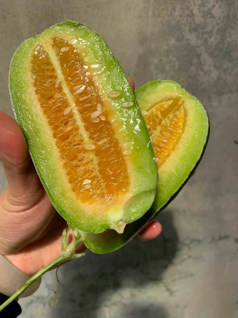 博洋