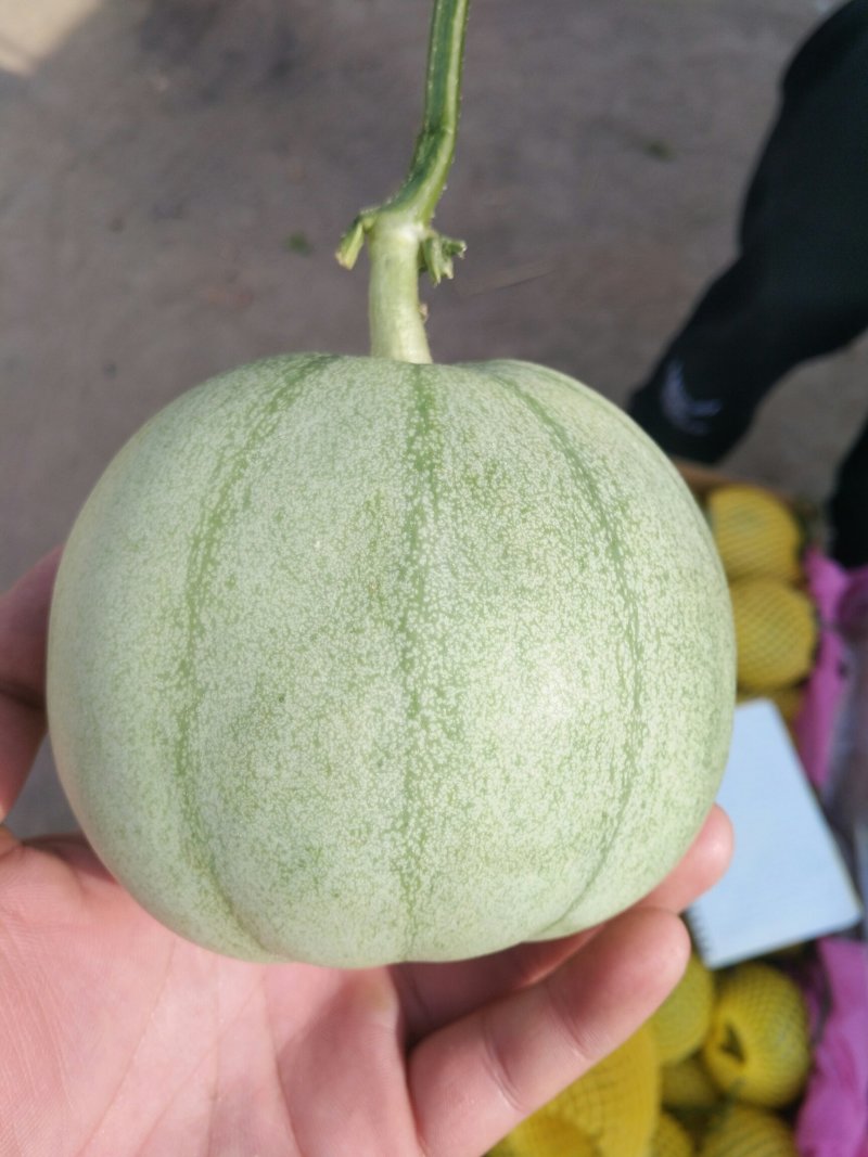 瓜果类