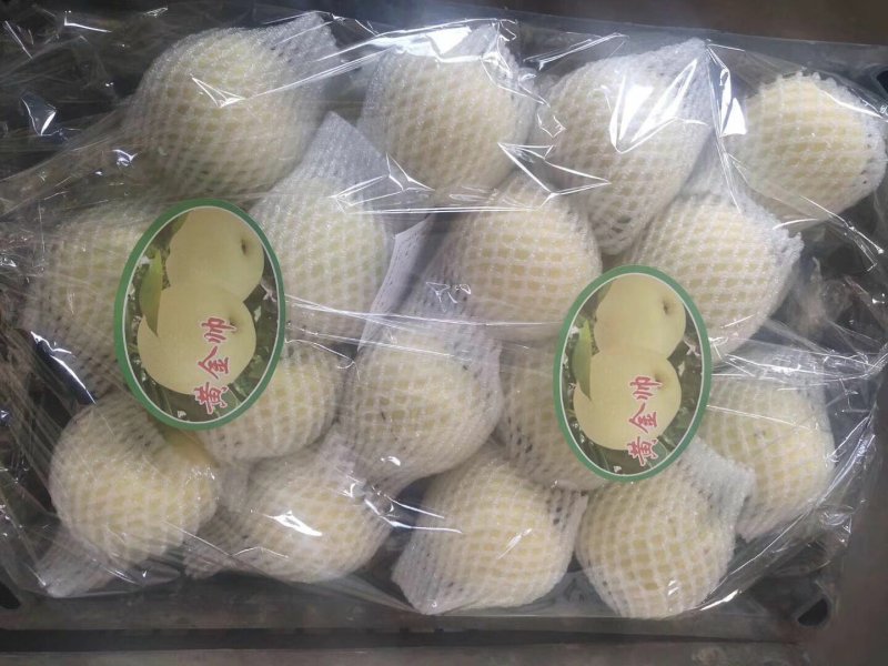 黄元帅自家有冷库可以储存