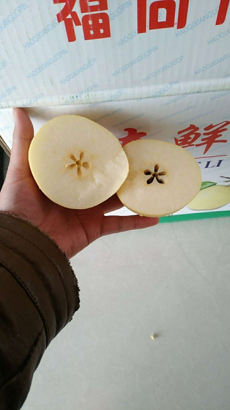 河北皇冠梨专业对接社区团购超市市场批发速联系