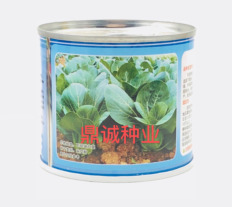 欧兰德夏波帝绿亨夏丽美帝青梗菜耐热高产100g