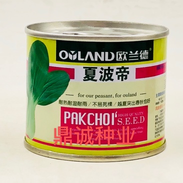 欧兰德夏波帝绿亨夏丽美帝青梗菜耐热高产100g