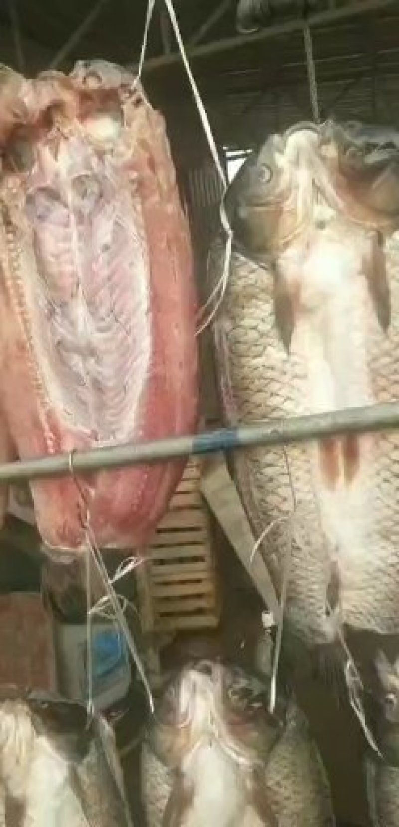 传统制作的干鱼