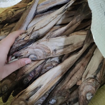 批发朝鲜风味明太鱼明太鱼干