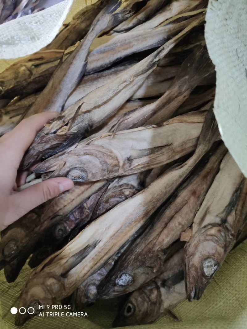 批发朝鲜风味明太鱼明太鱼干
