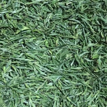 桐城小花茶叶