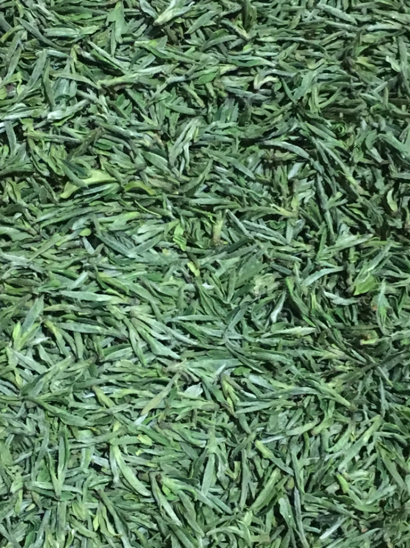 桐城小花茶叶
