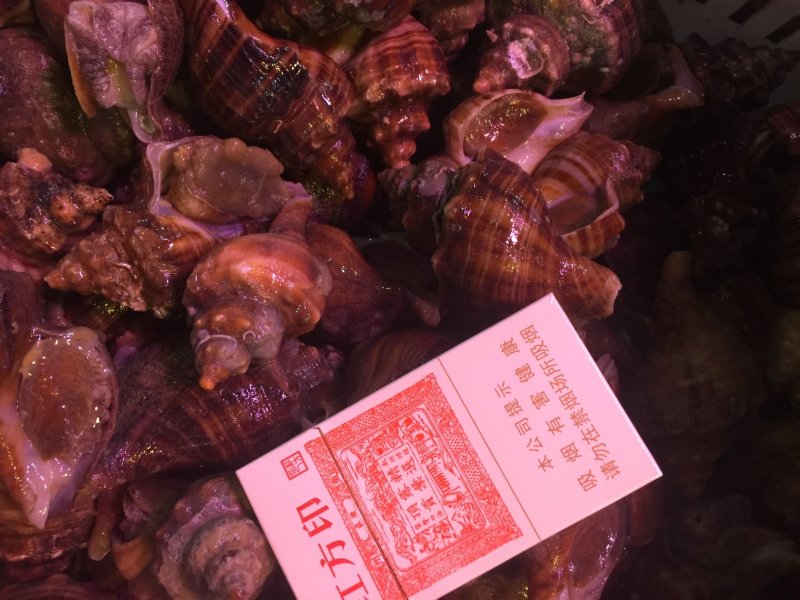 海螺：鲜活直发。批发零售，一件代发欢迎全国老板咨询