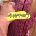 【一件代发】内蒙古牧民手工制作牛肉干原味原产地发货