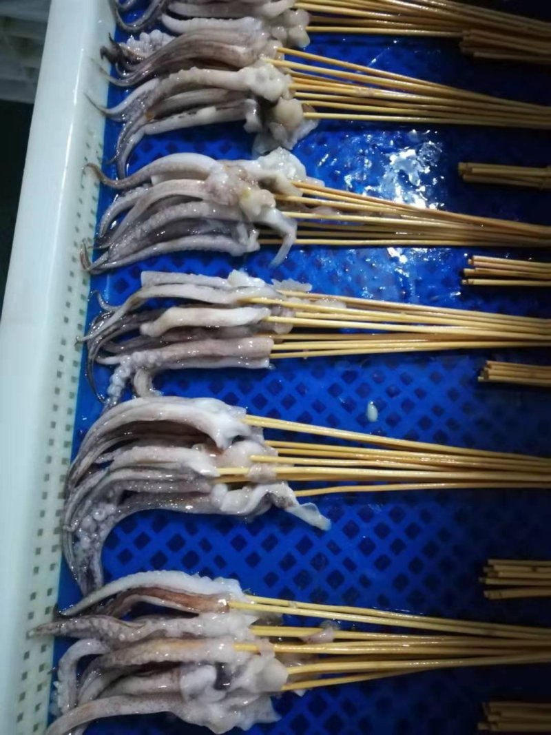 鱿鱼头35g真鱿和阿鱿手把串鱿鱼串