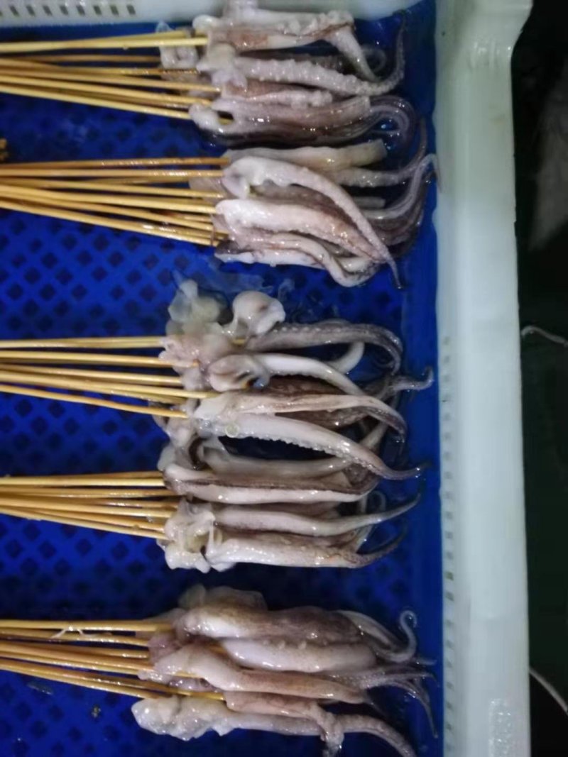 鱿鱼头35g真鱿和阿鱿手把串鱿鱼串
