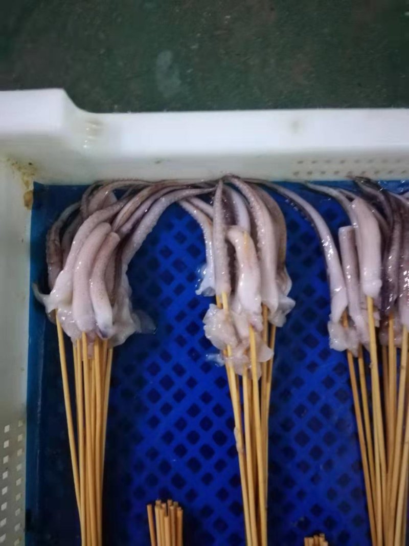 鱿鱼头35g真鱿和阿鱿手把串鱿鱼串