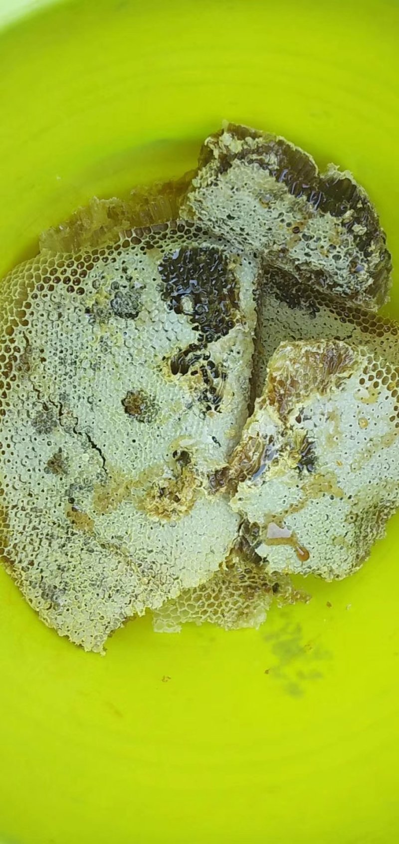 纯原生态蜂蜜