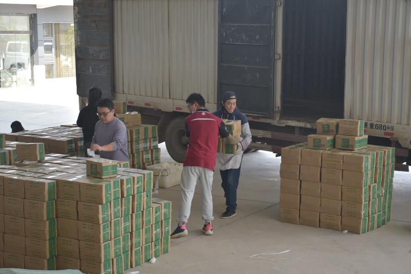 越南大青芒现货，一件代发供应，可持续到7月