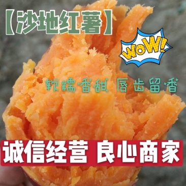 〔热卖中〕郑州中牟沙地西瓜红口感沙甜量大质优长期供应