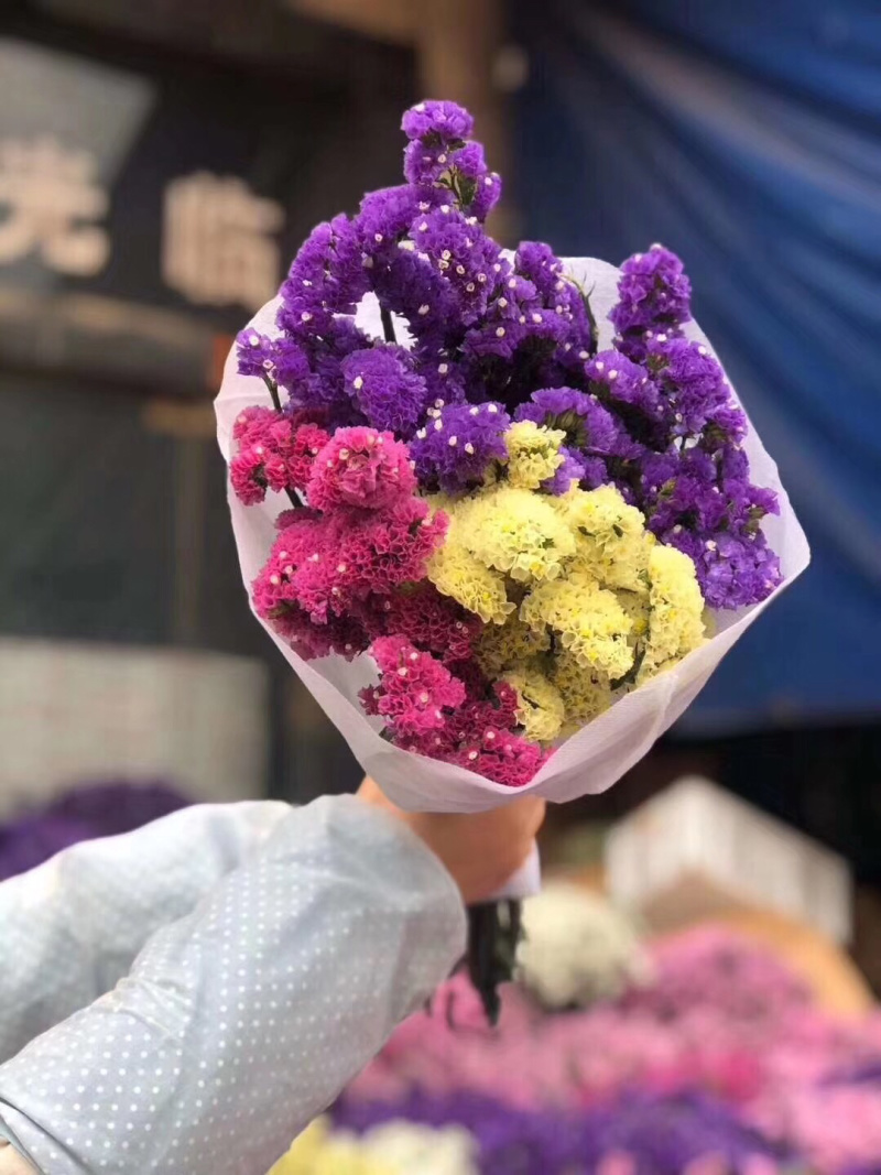 云南干花勿忘我水晶草情人草