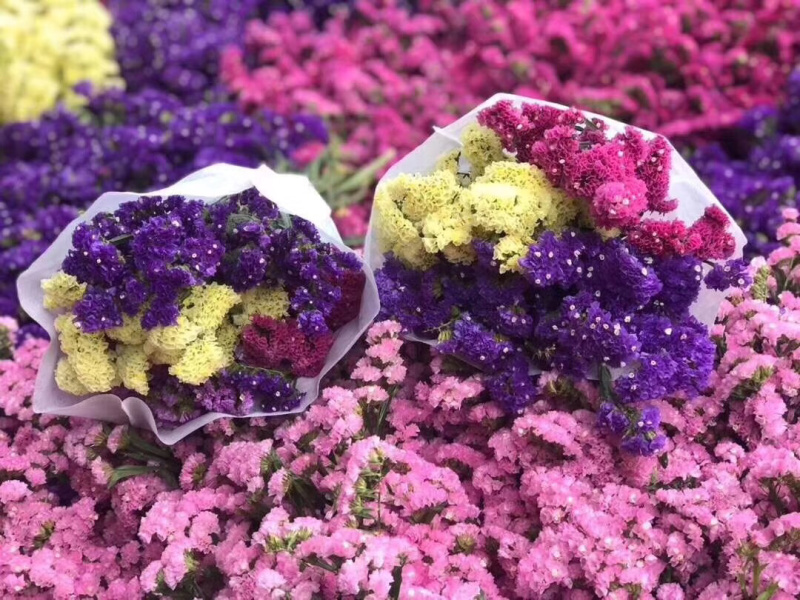 云南干花勿忘我水晶草情人草