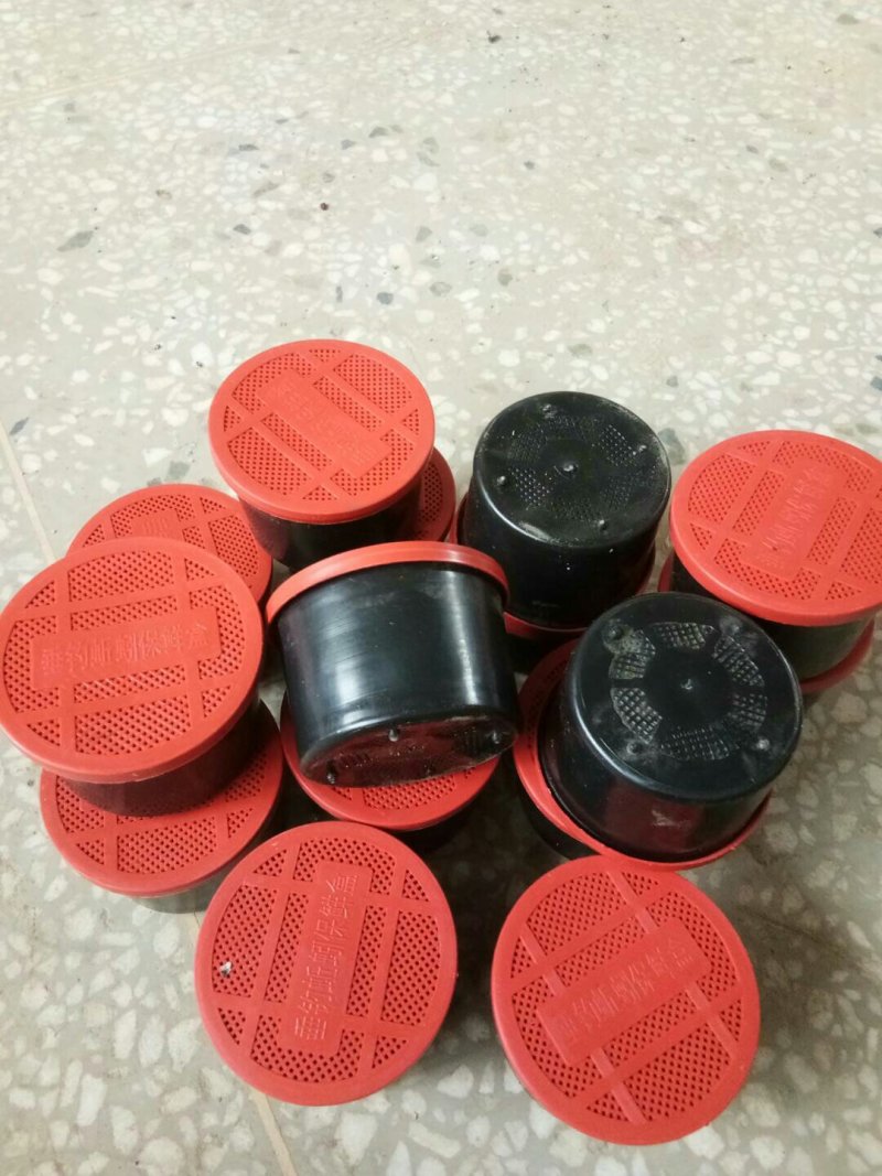 基地直供盒装蚯蚓，袋装，常年供应商，60盒起批