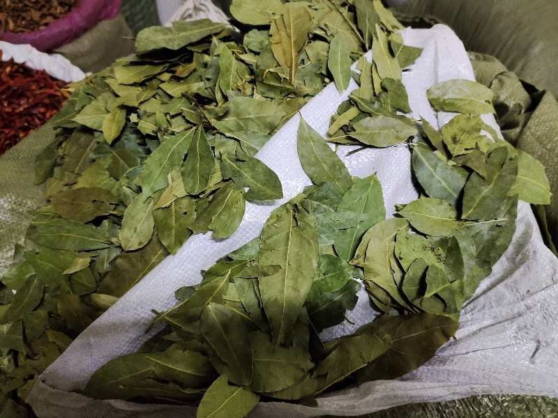 香叶，特绿香叶，干度好的特绿的调味香叶，量大从优