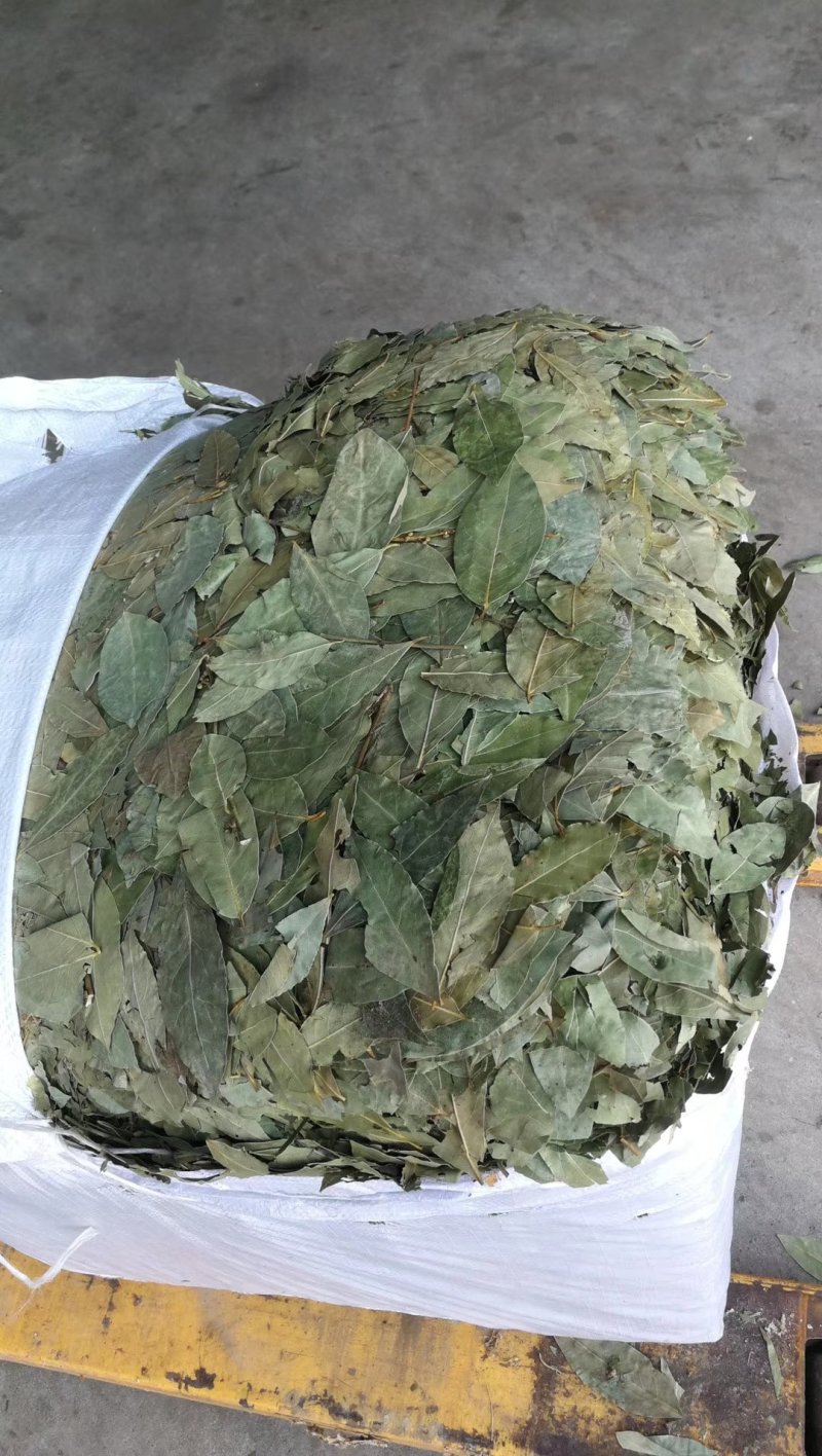 香叶，特绿香叶，干度好的特绿的调味香叶，量大从优