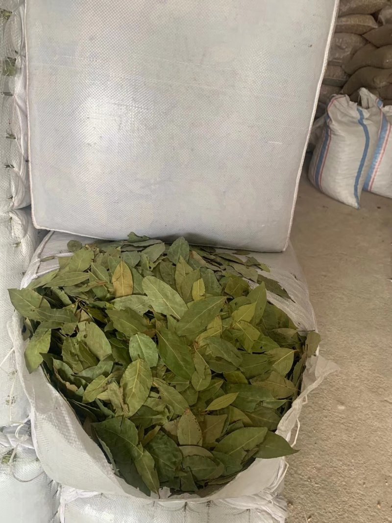 香叶，特绿香叶，干度好的特绿的调味香叶，量大从优