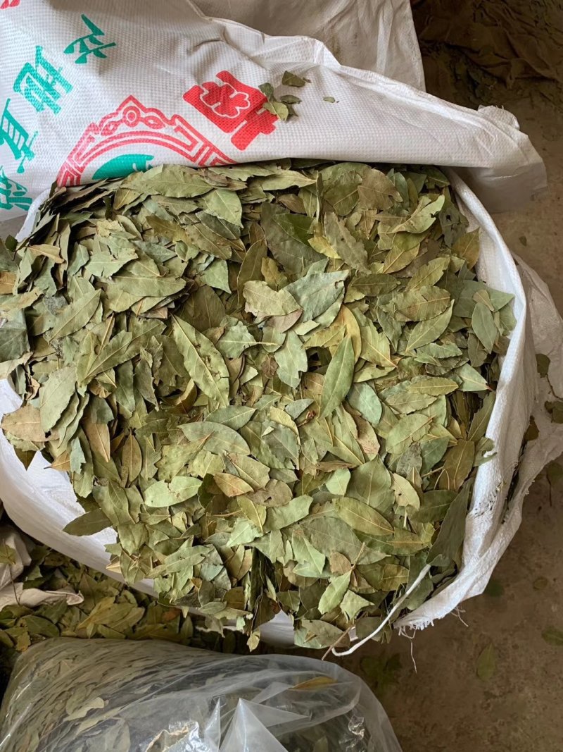 香叶，特绿香叶，干度好的特绿的调味香叶，量大从优