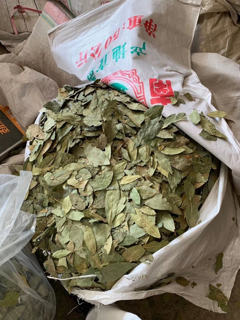 香叶，特绿香叶，干度好的特绿的调味香叶，量大从优