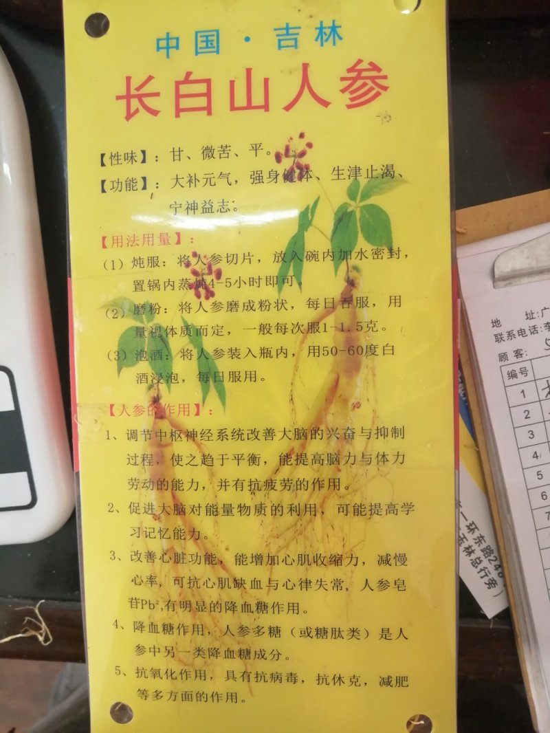人参，东北人参，特大条长白山人参，产地直销大量供应