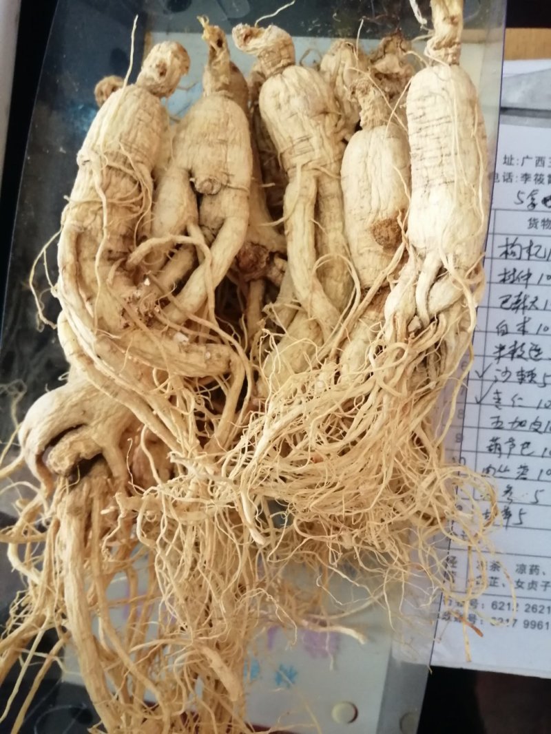 人参，东北人参，特大条长白山人参，产地直销大量供应