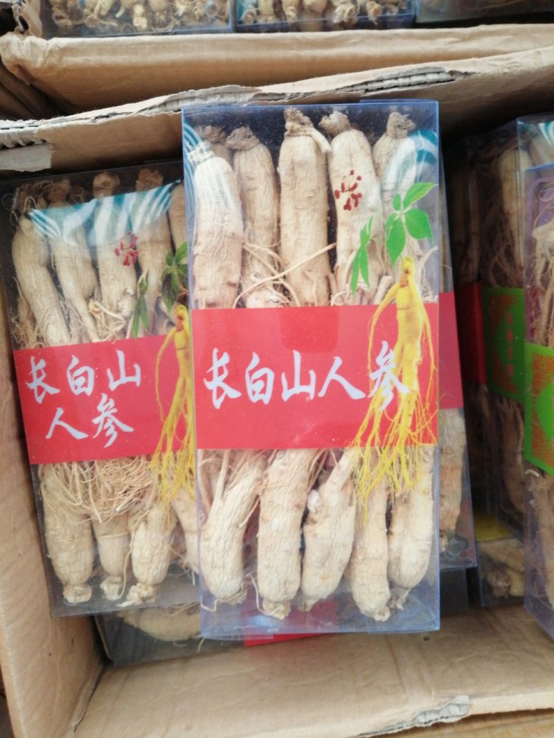人参，东北人参，特大条长白山人参，产地直销大量供应