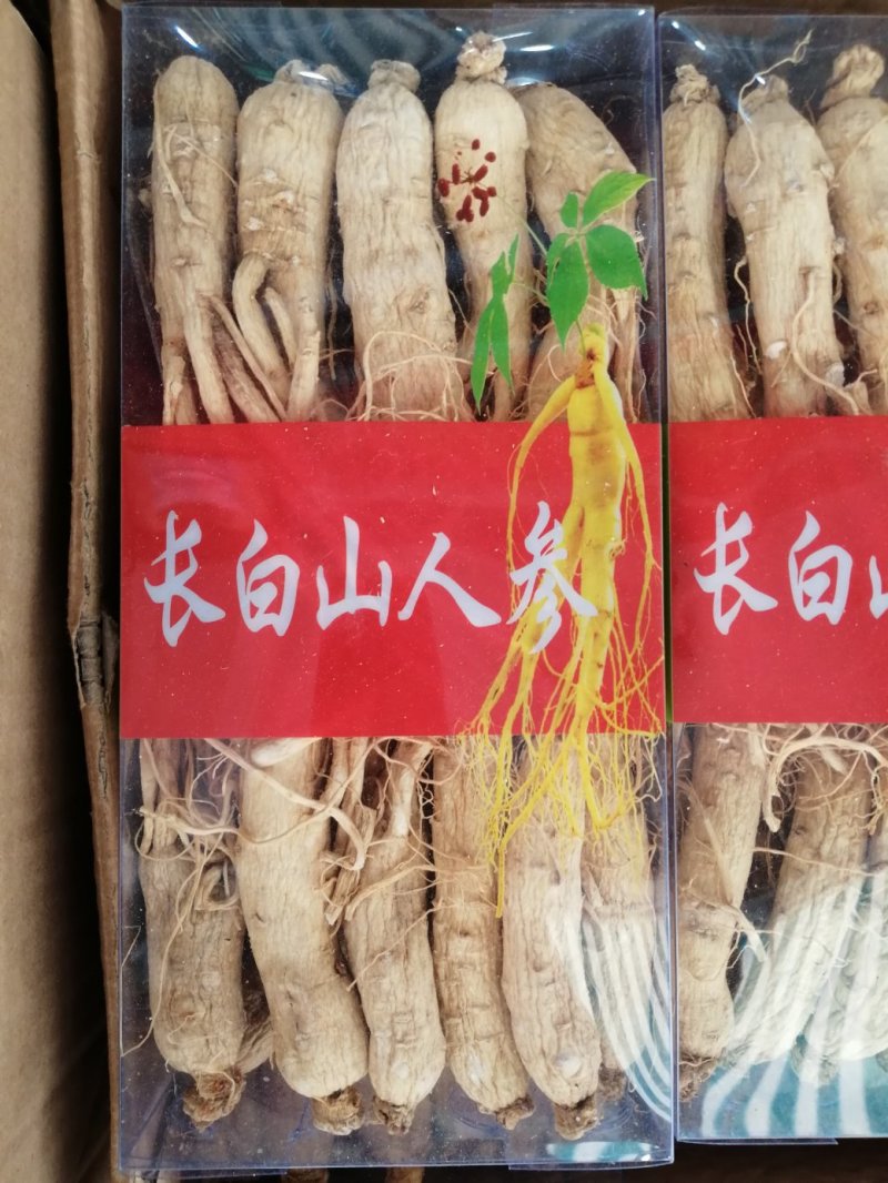 人参，东北人参，特大条长白山人参，产地直销大量供应