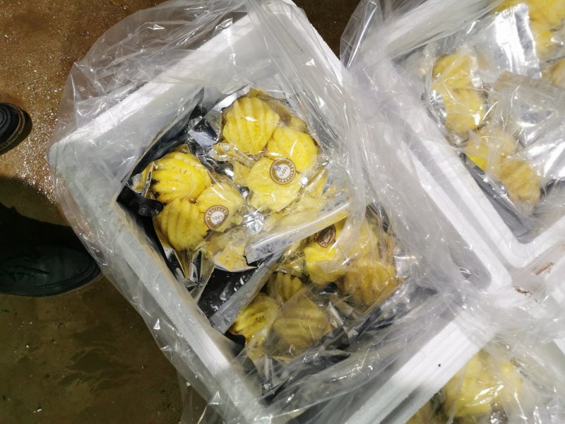 削皮小菠萝甜脆颜色黄工厂直发有优势整车零担发各地