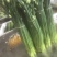 精品韭苔大量上市中质量优质诚信经营
