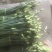 精品韭苔大量上市中质量优质诚信经营