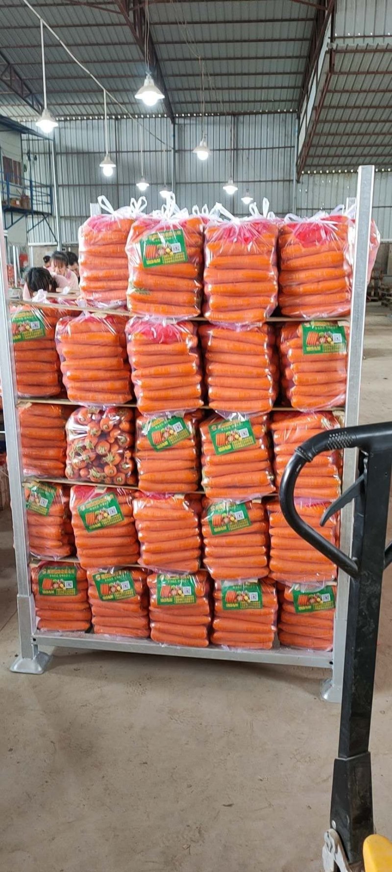【精品】胡萝卜水洗三红产地自销量大价优可视频看货