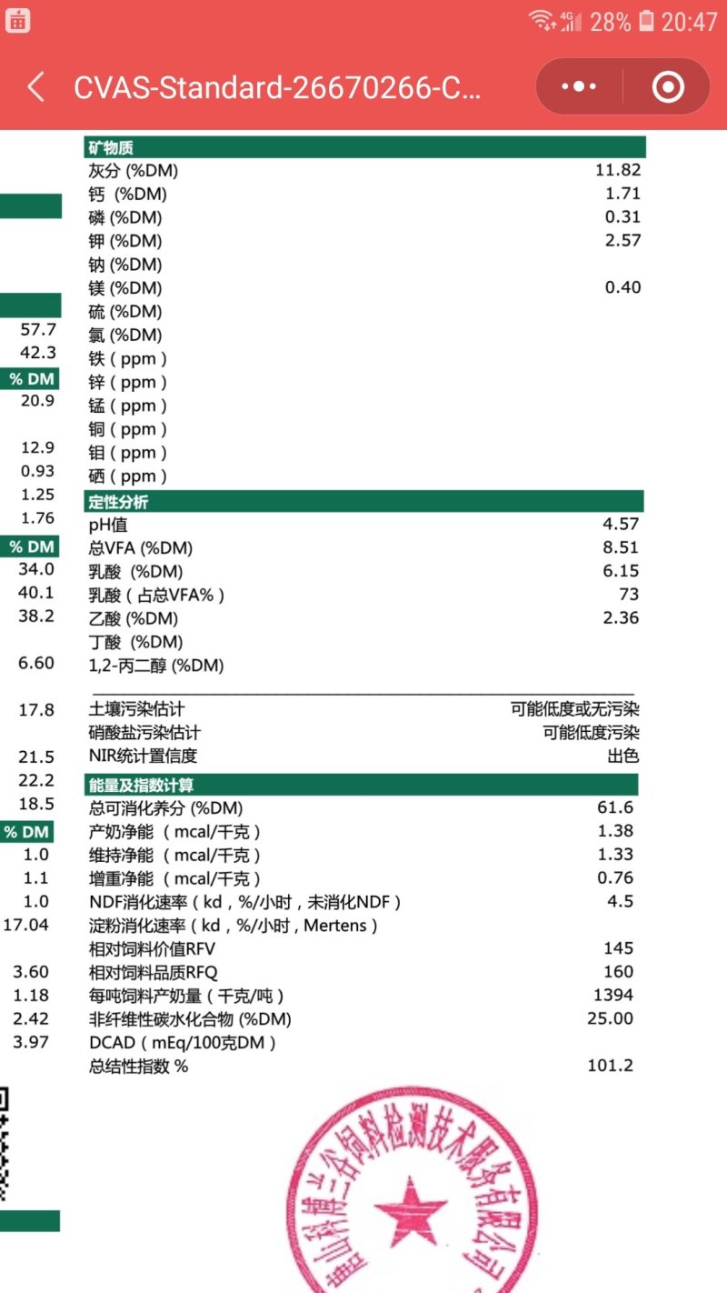 苜蓿青储