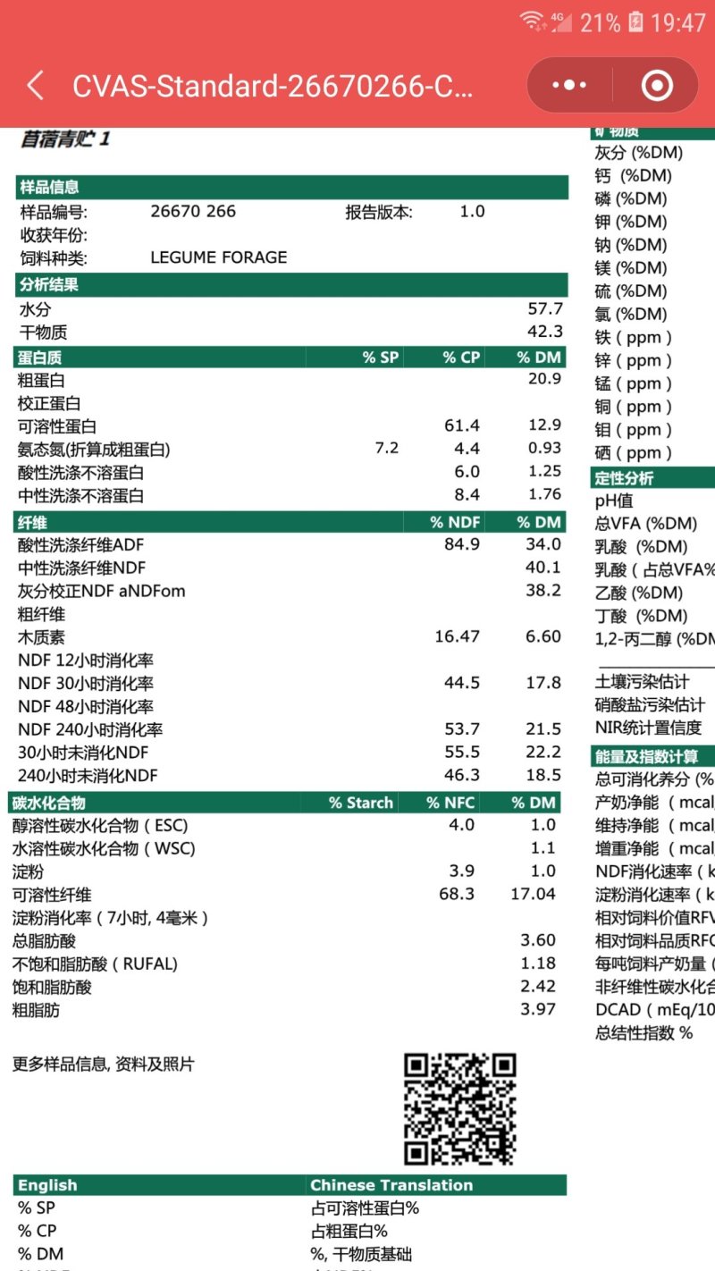 苜蓿青储