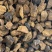 白桦茸黄褐孔菌煮水规格齐全2斤包邮