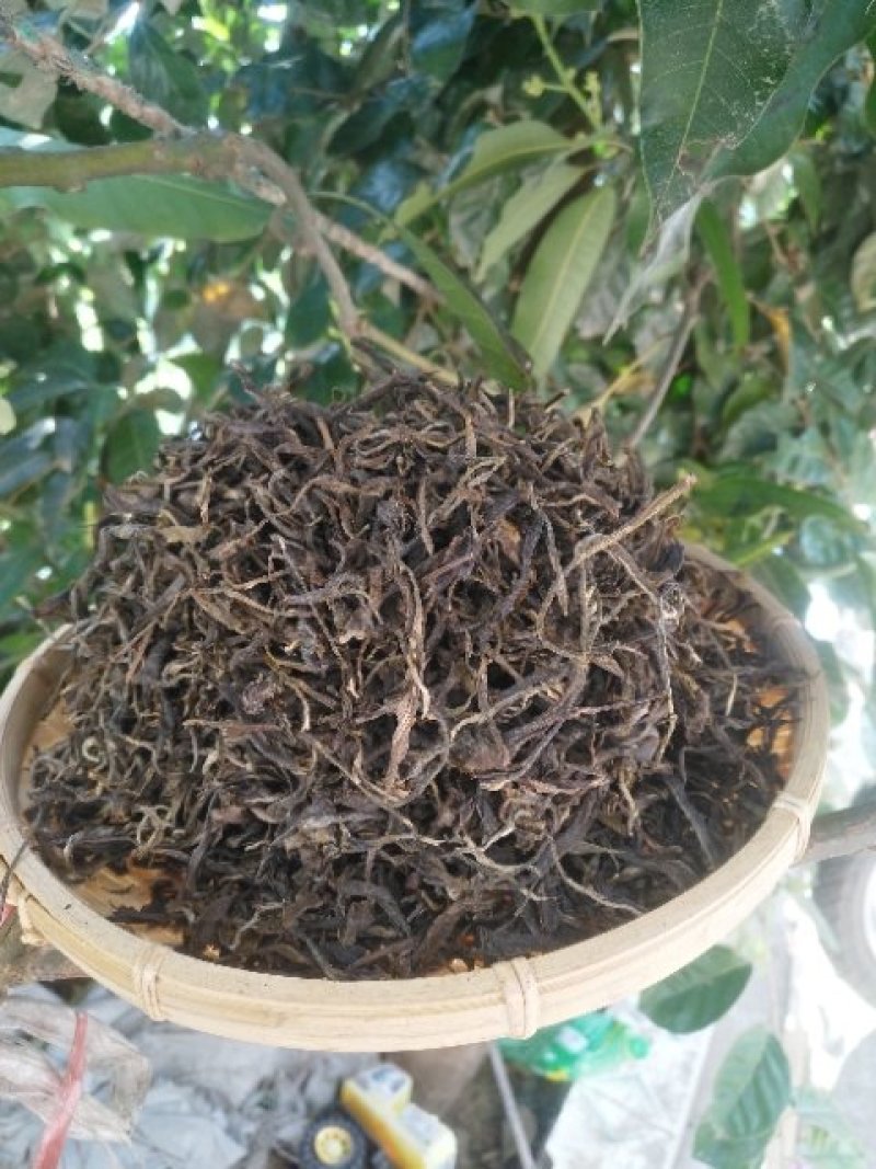 无量山古树茶生茶饼可定制