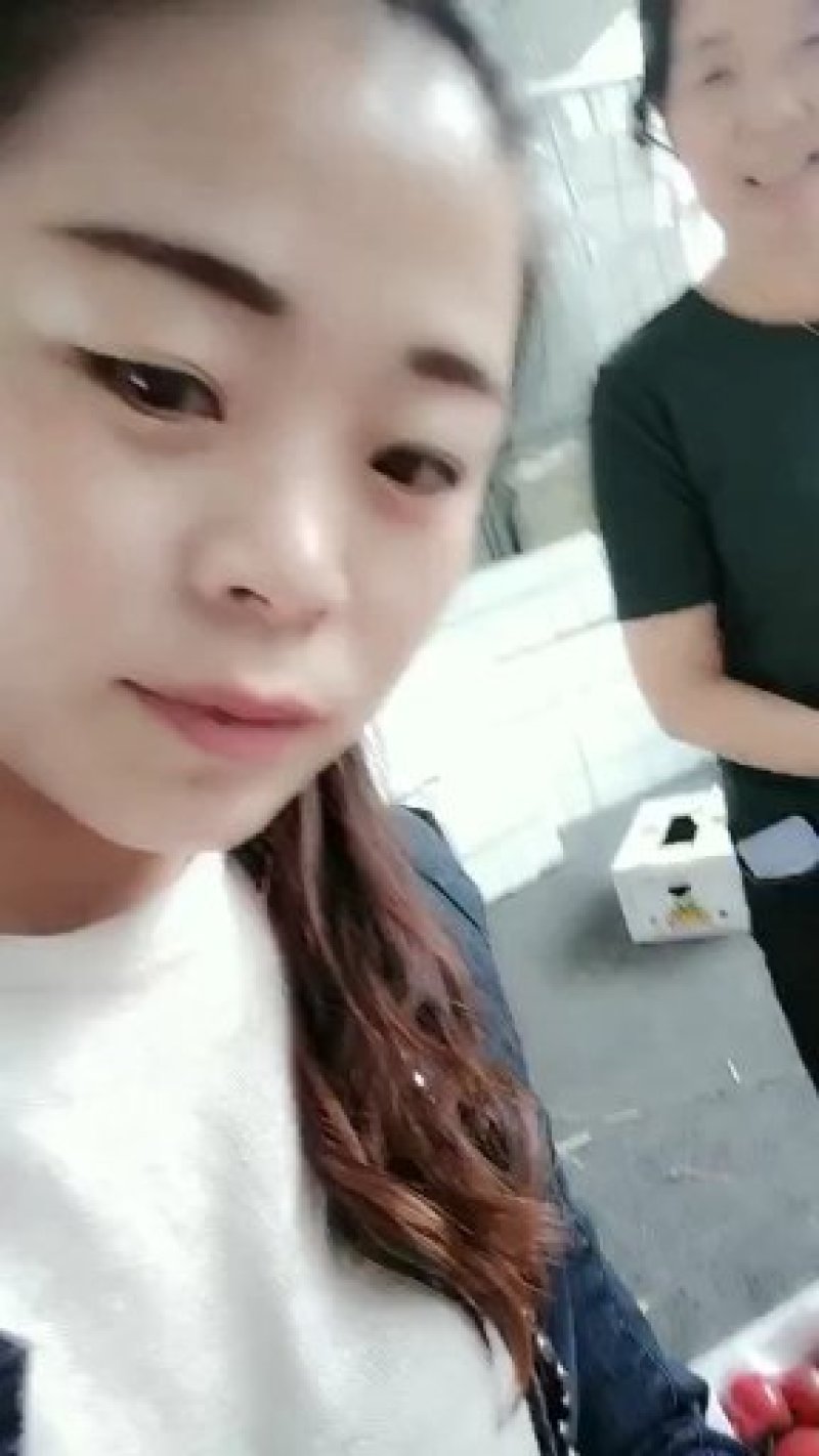 博洋甜瓜61号一件代发专供电商平台，真正的产地