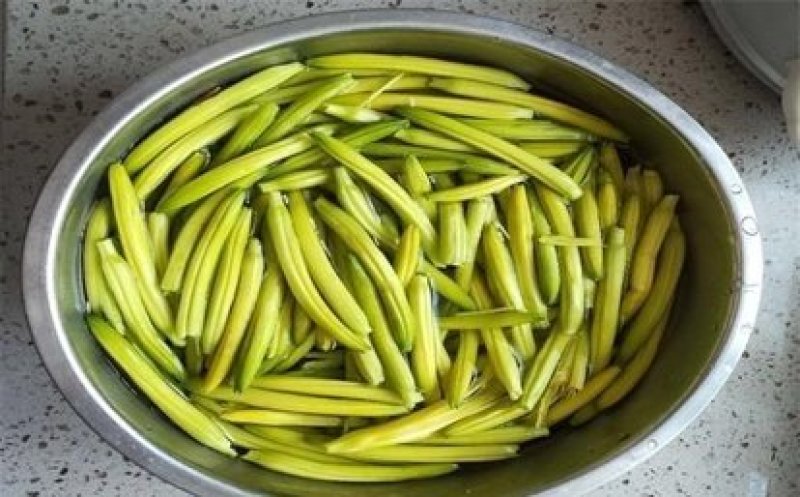 陕西沙苑黄花菜又名金针菜产地直销一件代发