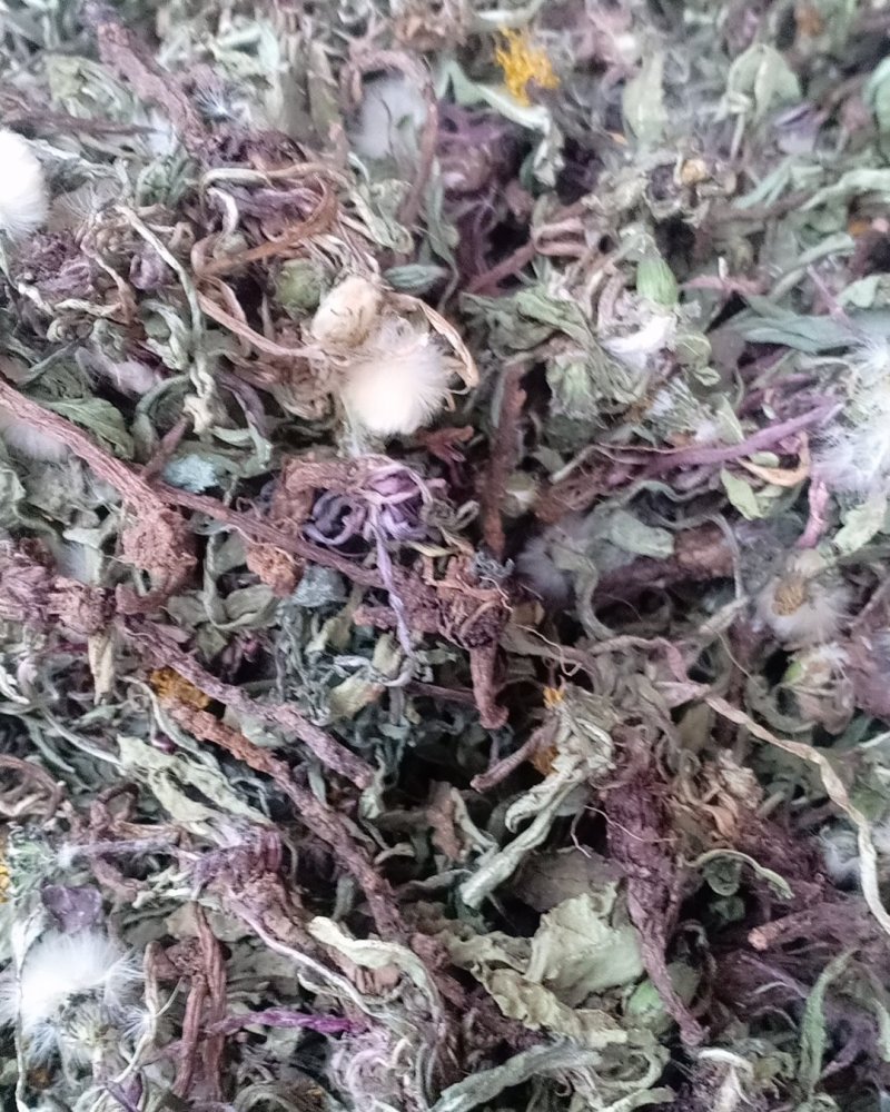 自然蒲公英，沂蒙山区里的特产手捡自然蒲公英，产地直发