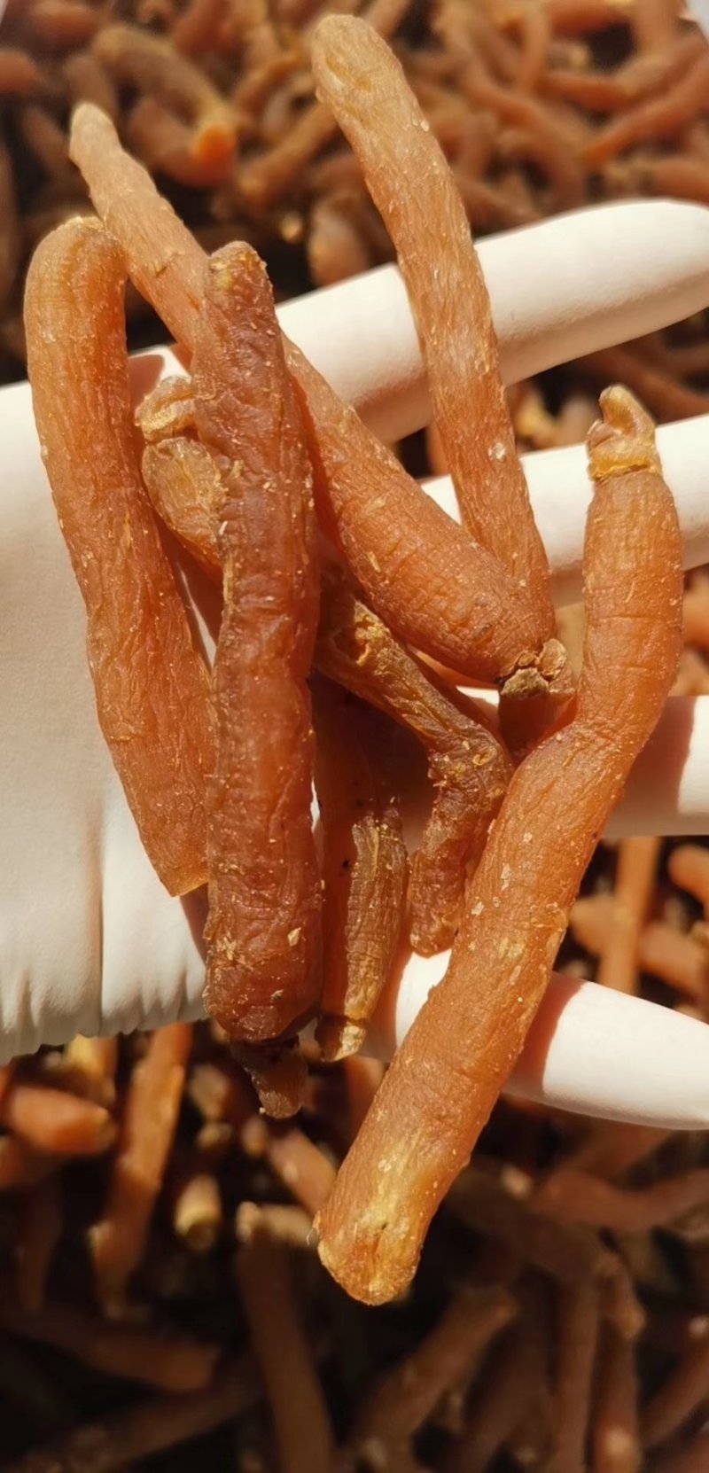 即食小红参