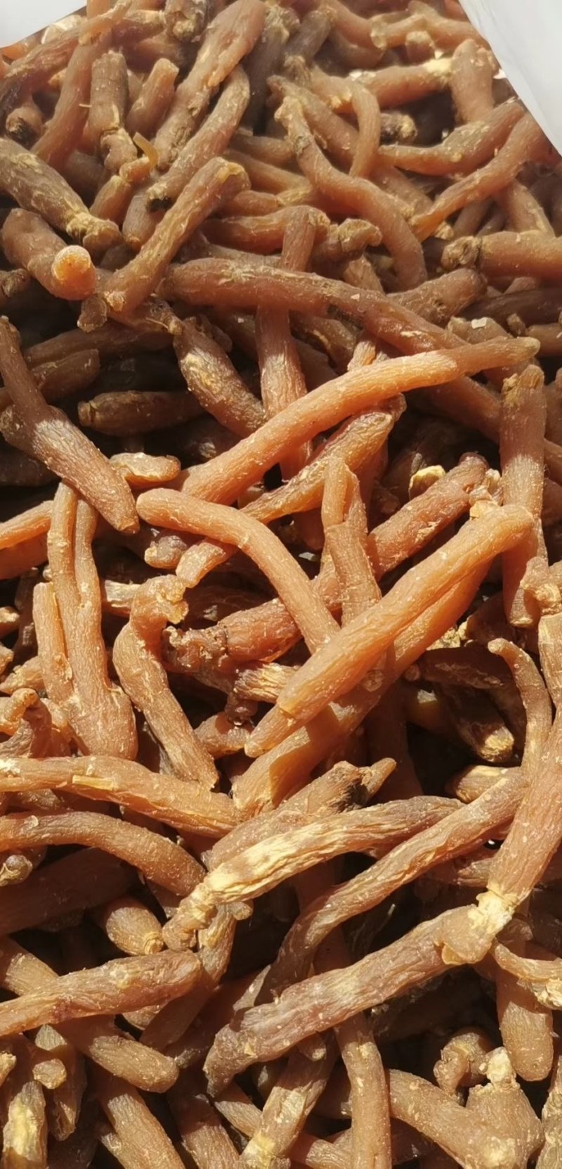 即食小红参