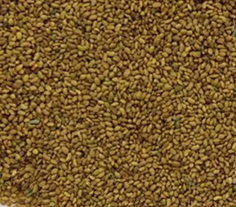 进口紫花苜蓿种子苜蓿草牧草种子南方北方多年生耐寒牛羊兔牧