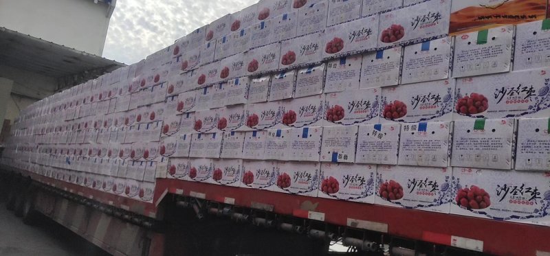 新疆红枣，原枣各种规格品种齐全，量大从优诚信批发
