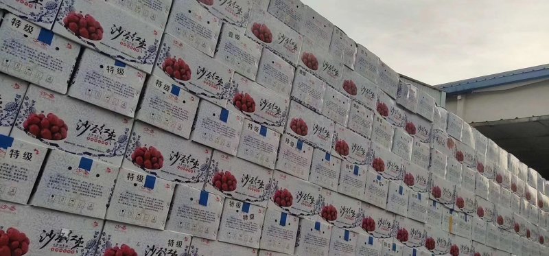 新疆红枣，原枣各种规格品种齐全，量大从优诚信批发