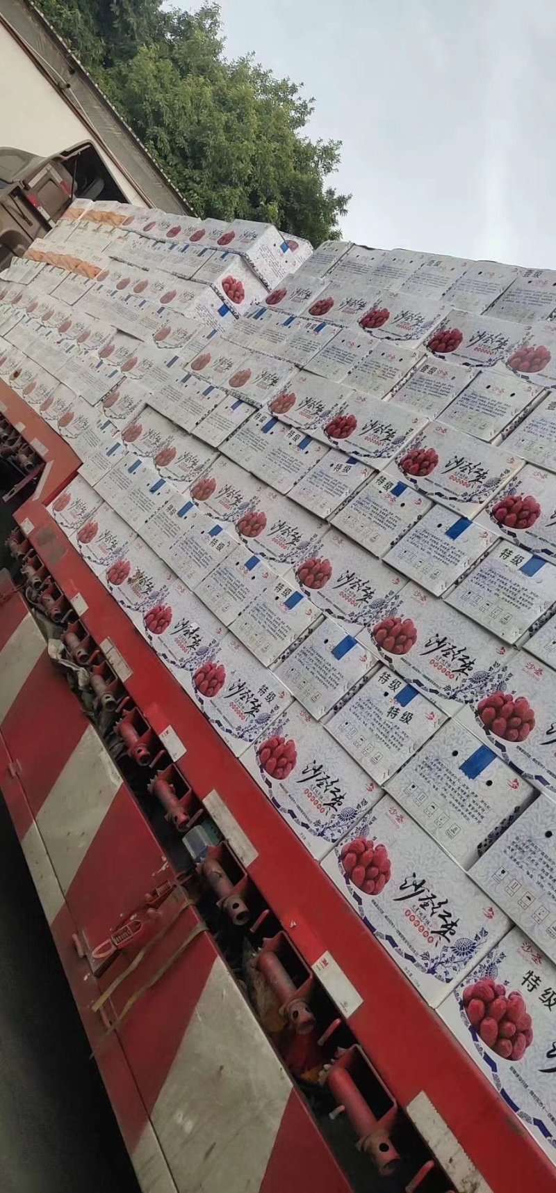 新疆红枣，原枣各种规格品种齐全，量大从优诚信批发