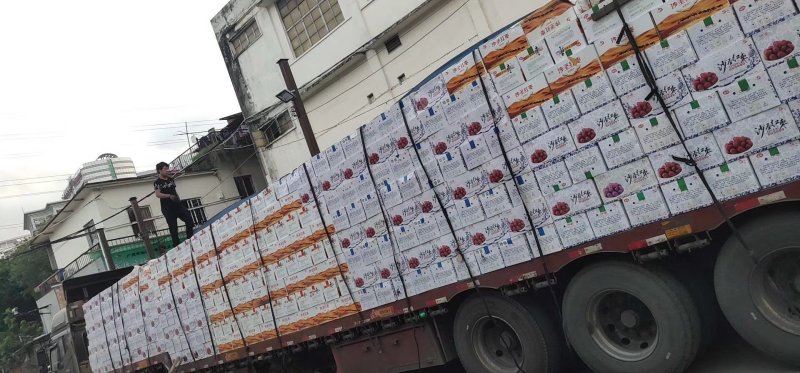 新疆红枣，原枣各种规格品种齐全，量大从优诚信批发